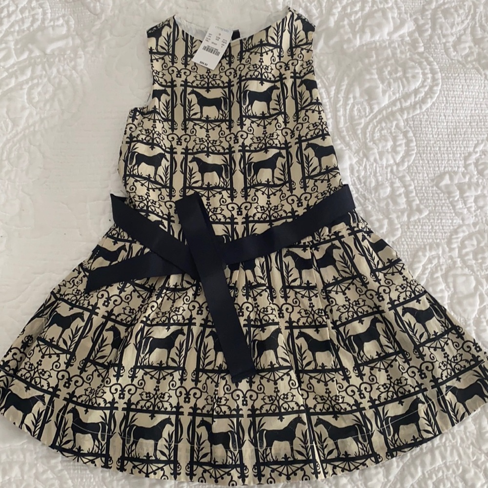 J.crew kids dress size 6
